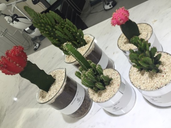 22427c9749a49a07ca5e7ae10cea1141_1479280